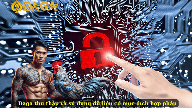 Daga thu thập và sử dụng dữ liệu có mục đích hợp pháp