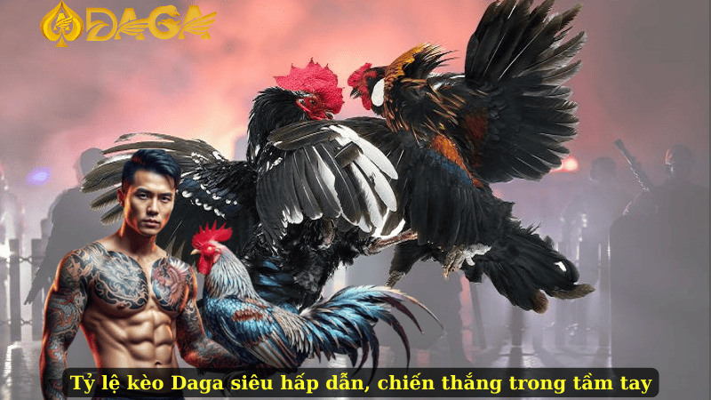 Tỷ lệ kèo Daga siêu hấp dẫn, chiến thắng trong tầm tay