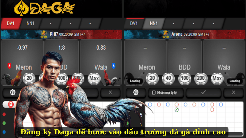 Đăng ký Daga để bước vào đấu trường đá gà đỉnh cao