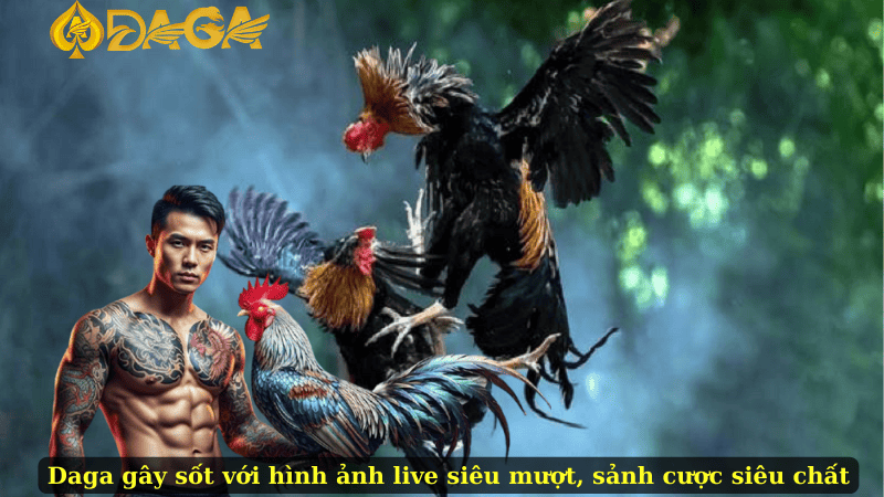 Daga gây sốt với hình ảnh live siêu mượt, sảnh cược siêu chất