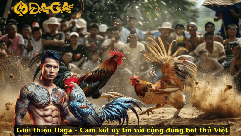 Giới thiệu Daga – Cam kết uy tín với cộng đồng bet thủ Việt