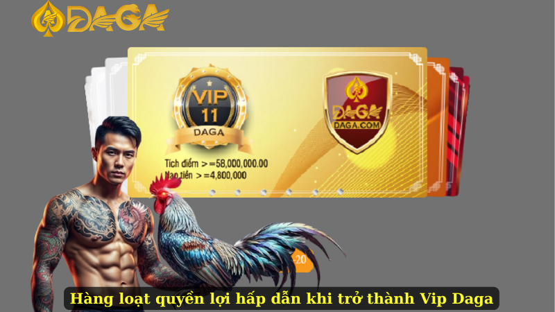Hàng loạt quyền lợi hấp dẫn khi trở thành Vip Daga