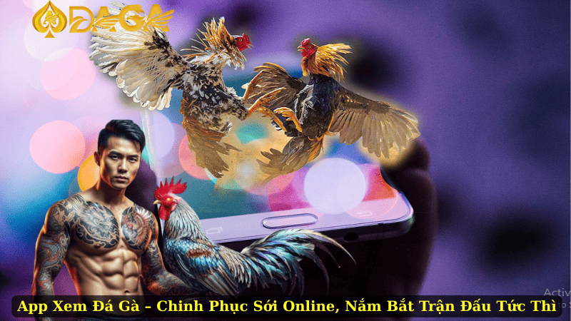 App Xem Đá Gà – Chinh Phục Sới Online, Nắm Bắt Trận Đấu Tức Thì