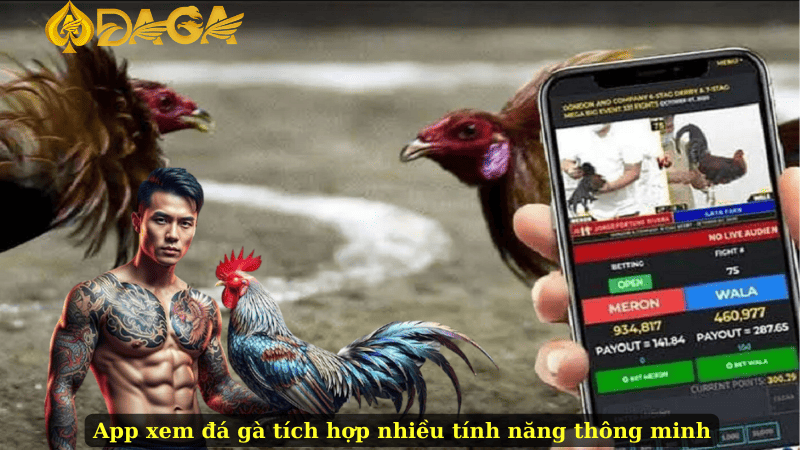 App xem đá gà tích hợp nhiều tính năng thông minh