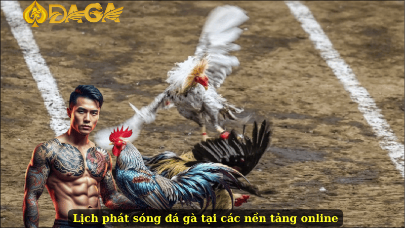 Lịch phát sóng đá gà tại các nền tảng online