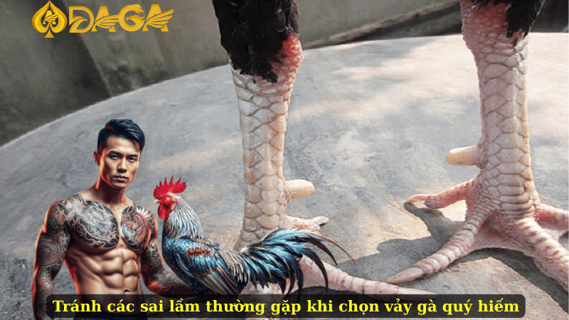 Tránh các sai lầm thường gặp khi chọn vảy gà quý hiếm