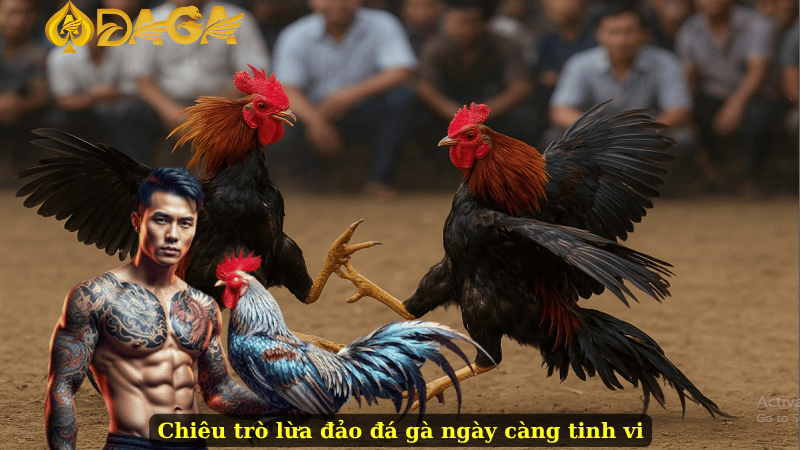 Chiêu trò lừa đảo đá gà ngày càng tinh vi